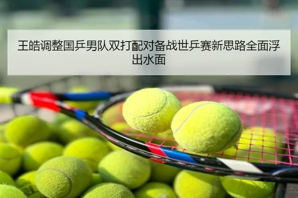 王皓调整国乒男队双打配对备战世乒赛新思路全面浮出水面