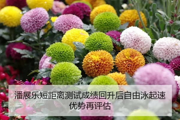 潘展乐短距离测试成绩回升后自由泳起速优势再评估
